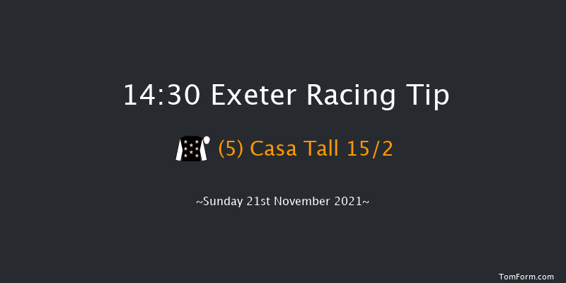 Exeter 14:30 Handicap Chase (Class 3) 18f Wed 10th Nov 2021