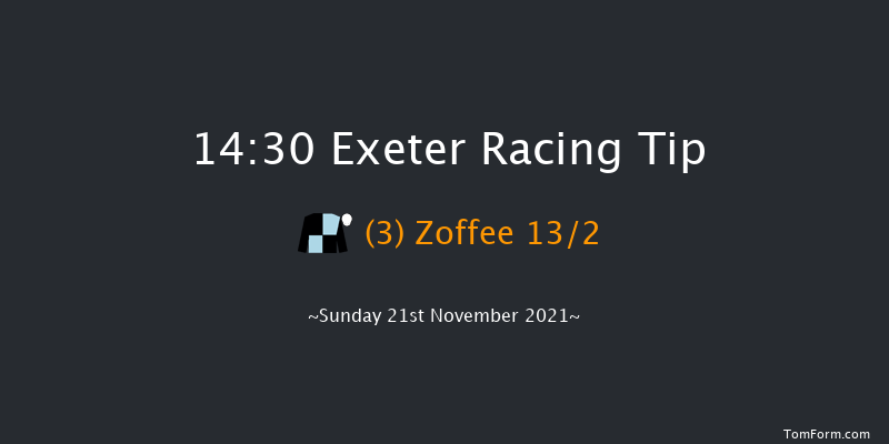 Exeter 14:30 Handicap Chase (Class 3) 18f Wed 10th Nov 2021