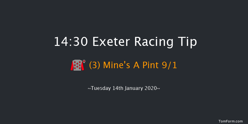 Exeter 14:30 Handicap Chase (Class 4) 19f Wed 1st Jan 2020