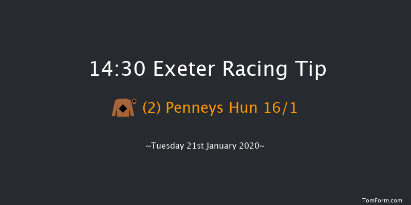 Exeter 14:30 Handicap Hurdle (Class 5) 17f Wed 1st Jan 2020