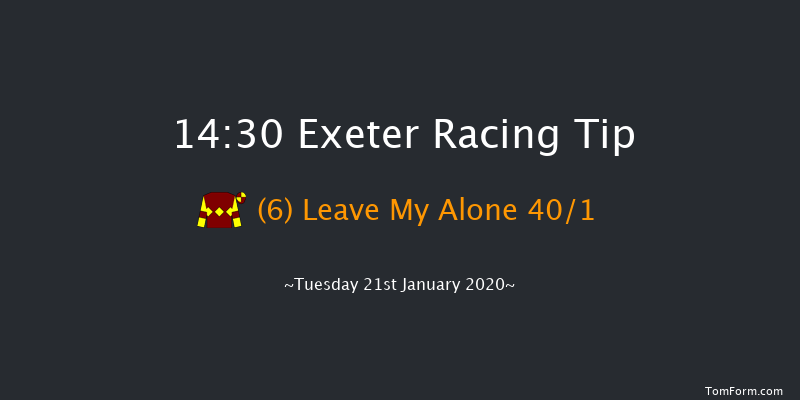 Exeter 14:30 Handicap Hurdle (Class 5) 17f Wed 1st Jan 2020