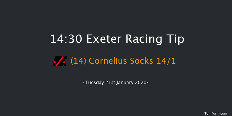 Exeter 14:30 Handicap Hurdle (Class 5) 17f Wed 1st Jan 2020