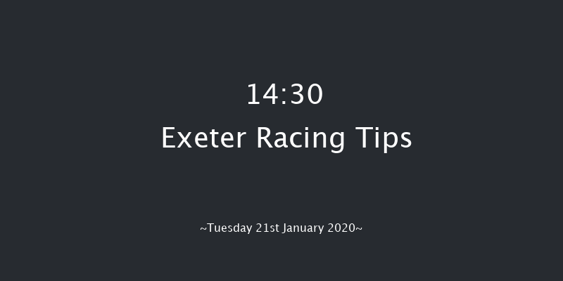 Exeter 14:30 Handicap Hurdle (Class 5) 17f Wed 1st Jan 2020