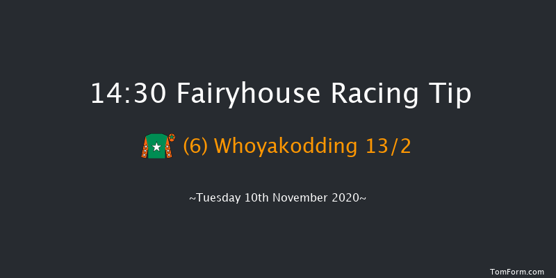 fairyhouse.ie (Q.R.) Handicap Hurdle (80-95) (Div 1) Fairyhouse 14:30 Handicap Hurdle 20f Tue 3rd Nov 2020