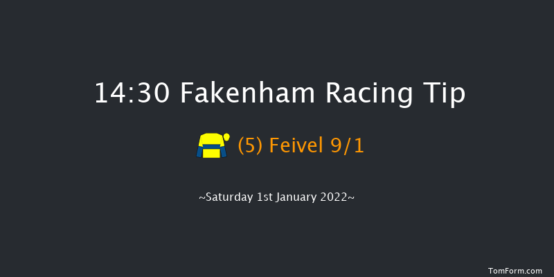Fakenham 14:30 Handicap Hurdle (Class 3) 20f Sun 19th Dec 2021