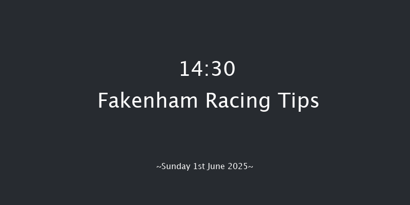 Fakenham 14-30 (Class 4) 16f Tue 6th May 2025