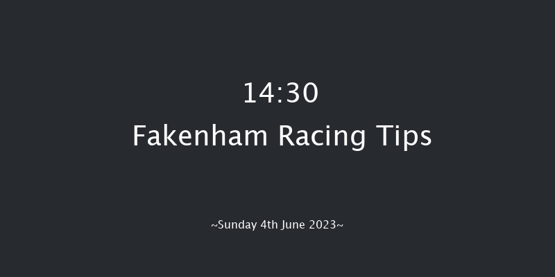 Fakenham 14:30 Handicap Chase (Class 5) 24f Tue 9th May 2023