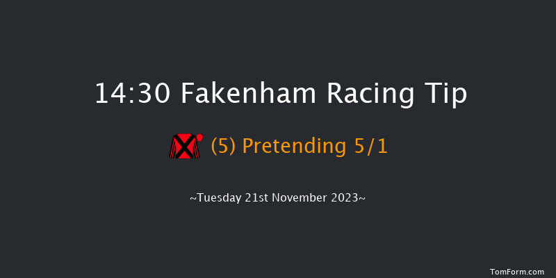 Fakenham 14:30 Handicap Hurdle (Class 4) 16f Mon 13th Nov 2023