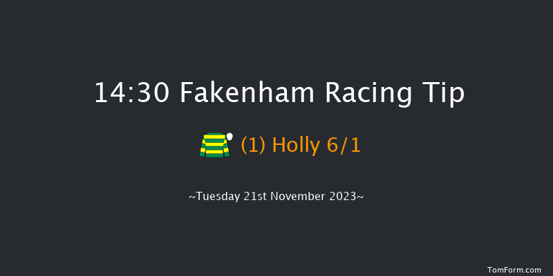 Fakenham 14:30 Handicap Hurdle (Class 4) 16f Mon 13th Nov 2023