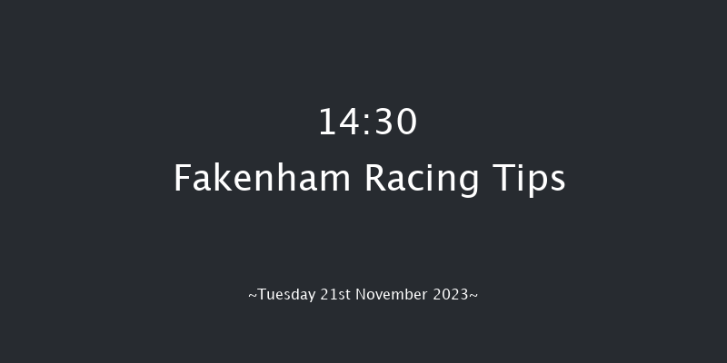 Fakenham 14:30 Handicap Hurdle (Class 4) 16f Mon 13th Nov 2023