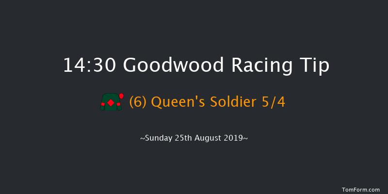 Goodwood 14:30 Seller (Class 3) 11f Sat 24th Aug 2019
