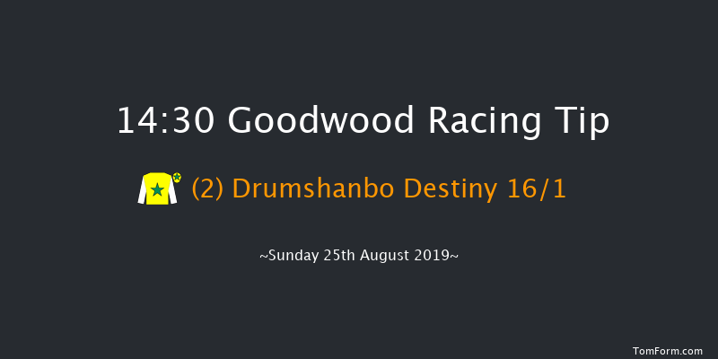 Goodwood 14:30 Seller (Class 3) 11f Sat 24th Aug 2019
