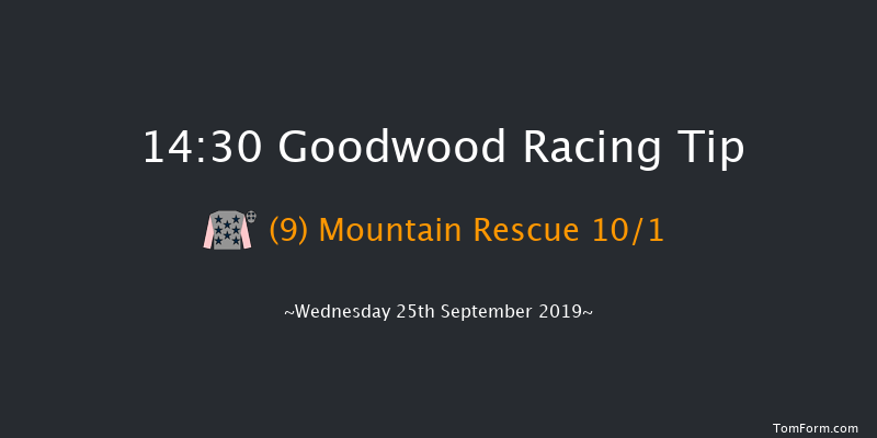 Goodwood 14:30 Handicap (Class 2) 8f Tue 3rd Sep 2019