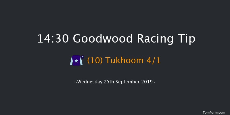 Goodwood 14:30 Handicap (Class 2) 8f Tue 3rd Sep 2019