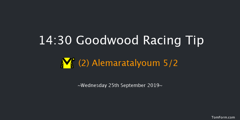 Goodwood 14:30 Handicap (Class 2) 8f Tue 3rd Sep 2019