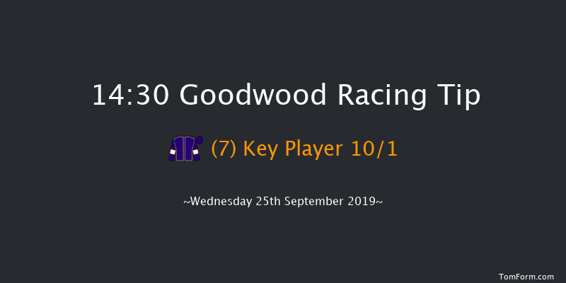 Goodwood 14:30 Handicap (Class 2) 8f Tue 3rd Sep 2019