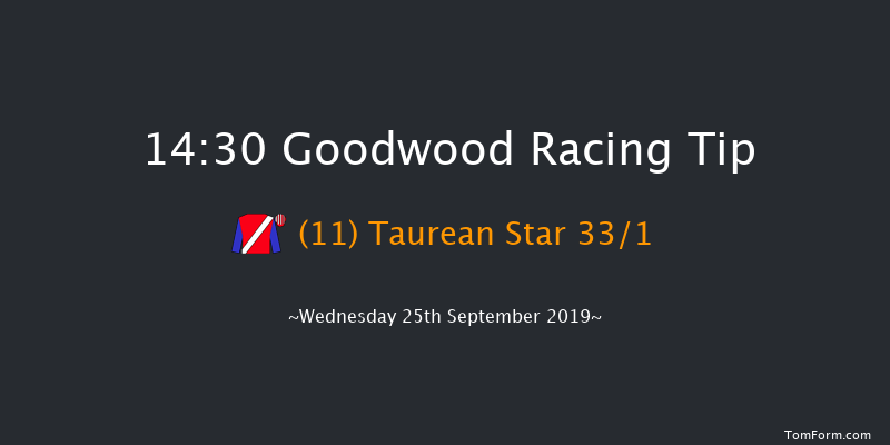 Goodwood 14:30 Handicap (Class 2) 8f Tue 3rd Sep 2019