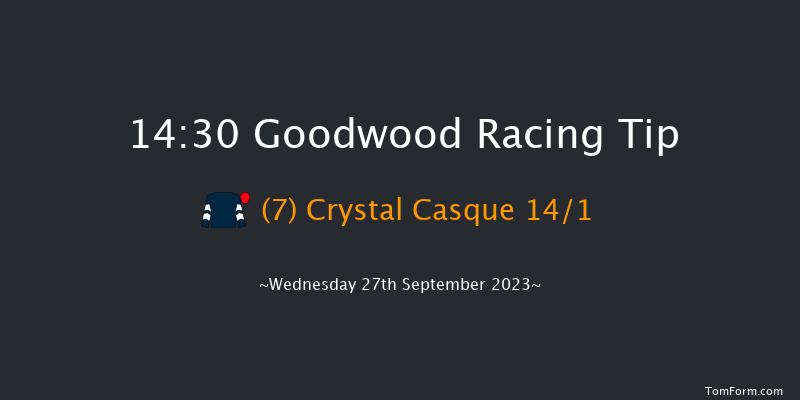 Goodwood 14:30 Handicap (Class 2) 8f Tue 5th Sep 2023