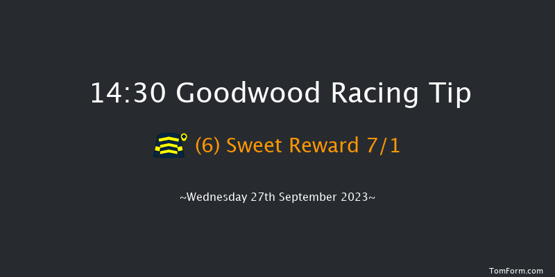 Goodwood 14:30 Handicap (Class 2) 8f Tue 5th Sep 2023