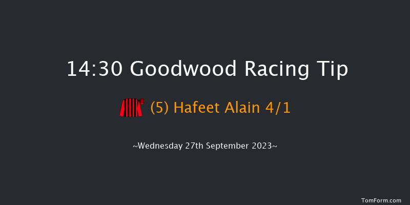 Goodwood 14:30 Handicap (Class 2) 8f Tue 5th Sep 2023