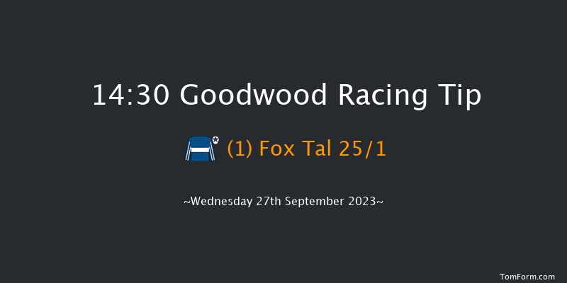 Goodwood 14:30 Handicap (Class 2) 8f Tue 5th Sep 2023