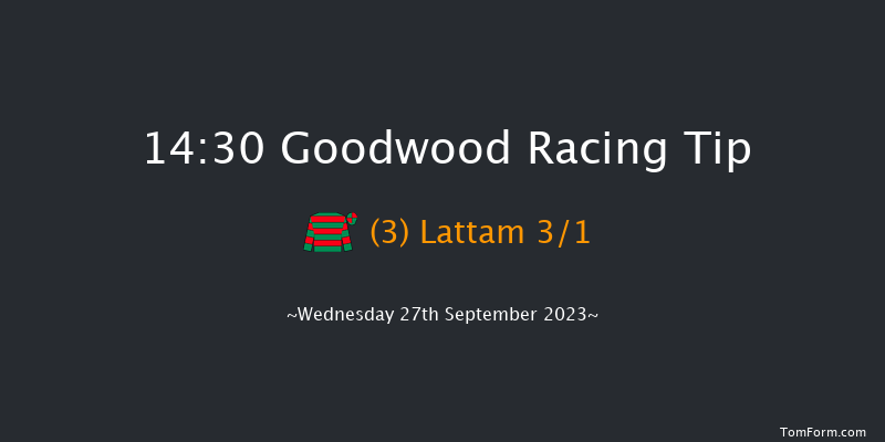 Goodwood 14:30 Handicap (Class 2) 8f Tue 5th Sep 2023