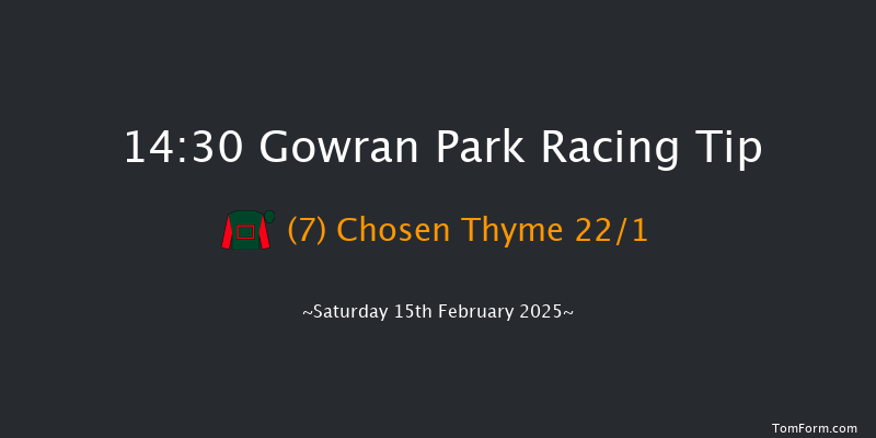 Gowran Park  14:30 Handicap Hurdle 20f Thu 23rd Jan 2025