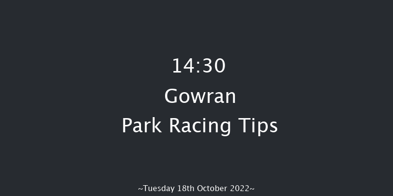 Gowran Park 14:30 Maiden 8f Sat 1st Oct 2022