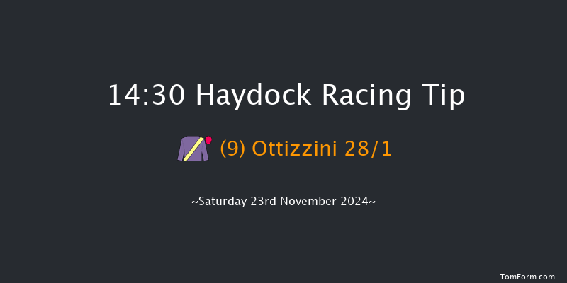 Haydock  14:30 Handicap Hurdle (Class 1) 24f Fri 18th Oct 2024