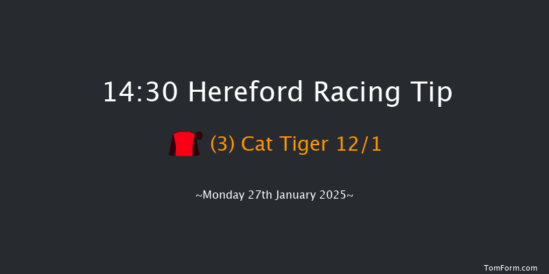 Hereford  14:30 Handicap Chase (Class 4) 16f Wed 15th Jan 2025