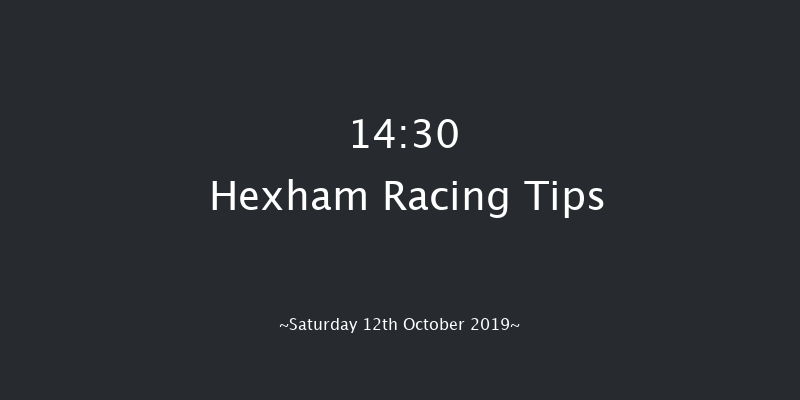 Hexham 14:30 Handicap Hurdle (Class 3) 23f Fri 4th Oct 2019