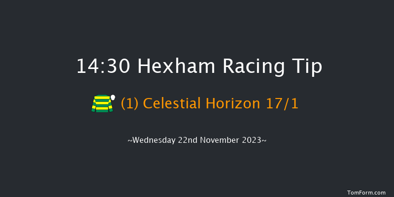 Hexham 14:30 Handicap Hurdle (Class 4) 20f Fri 10th Nov 2023