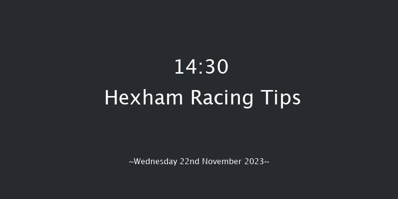 Hexham 14:30 Handicap Hurdle (Class 4) 20f Fri 10th Nov 2023