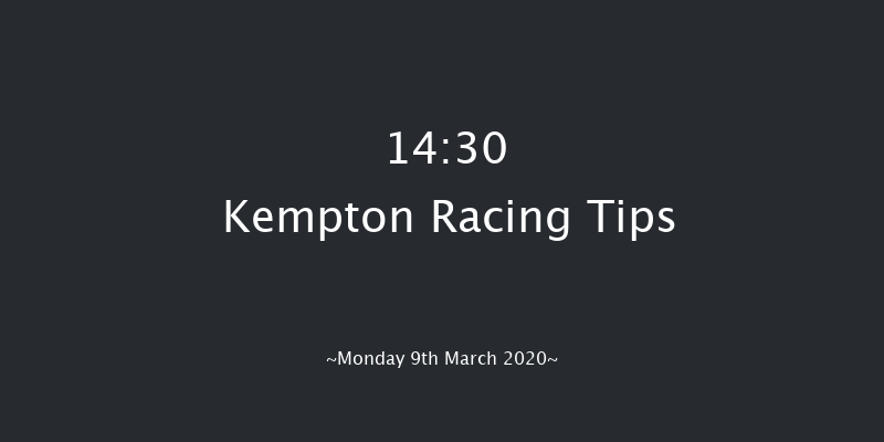 Racing TV Novice Auction Stakes Kempton 14:30 Stakes (Class 5) 8f Wed 4th Mar 2020