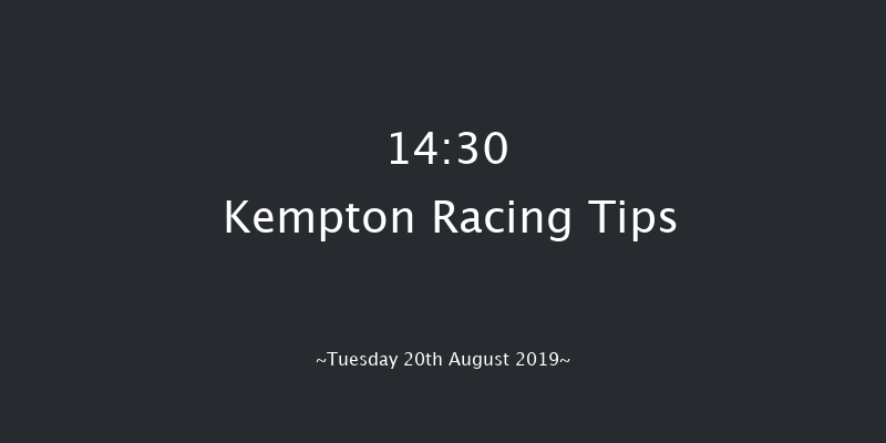 Kempton 14:30 Stakes (Class 5) 8f Wed 14th Aug 2019
