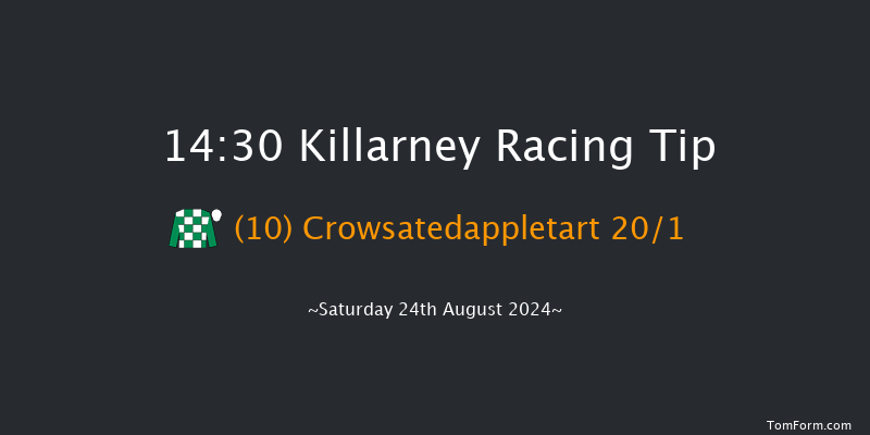 Killarney  14:30 Handicap Hurdle 20f Fri 23rd Aug 2024