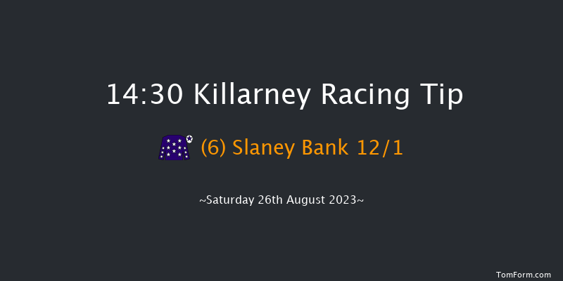 Killarney 14:30 Handicap Hurdle 20f Fri 25th Aug 2023