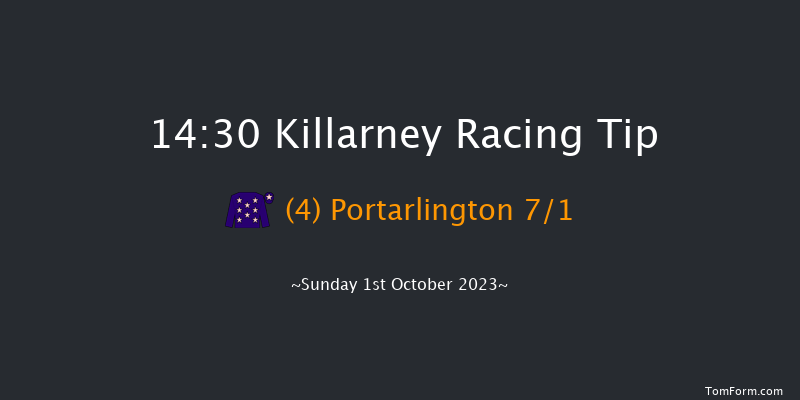 Killarney 14:30 Handicap Hurdle 17f Sat 30th Sep 2023