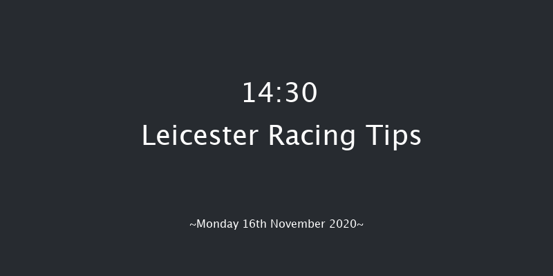 Graham The Plumbers' Merchant Fillies' Juvenile Hurdle (GBB Race) Leicester 14:30 Conditions Hurdle (Class 3) 16f Mon 26th Oct 2020
