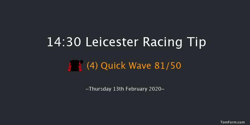 Wren Mares' Handicap Chase Leicester 14:30 Handicap Chase (Class 3) 20f Wed 29th Jan 2020