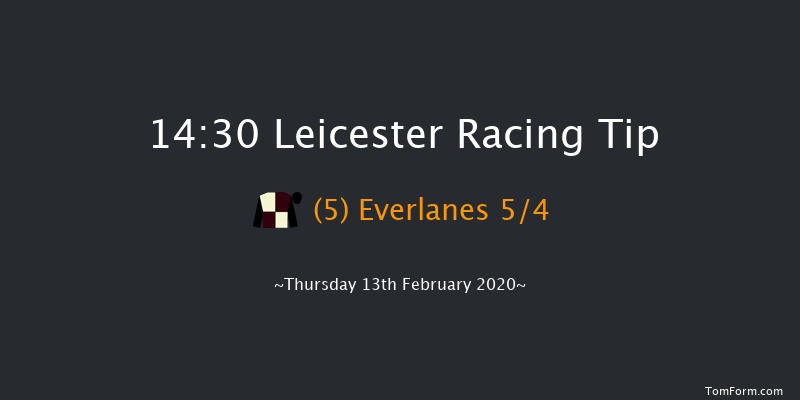 Wren Mares' Handicap Chase Leicester 14:30 Handicap Chase (Class 3) 20f Wed 29th Jan 2020