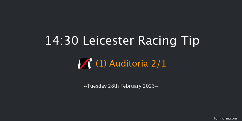 Leicester 14:30 Handicap Chase (Class 5) 20f Thu 16th Feb 2023