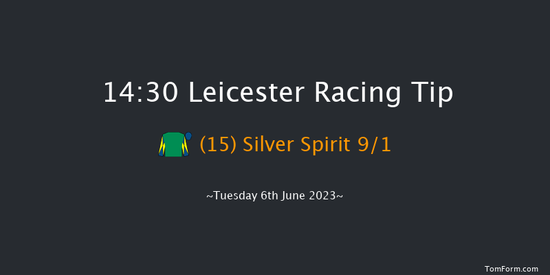Leicester 14:30 Maiden (Class 5) 6f Tue 30th May 2023