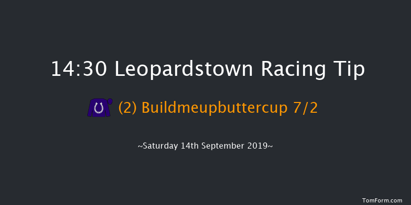 Leopardstown 14:30 Handicap 13f Thu 15th Aug 2019