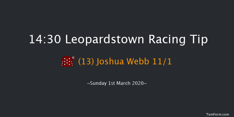 Donohoe Marquees Maiden Hurdle Leopardstown 14:30 Maiden Hurdle 18f Sun 2nd Feb 2020