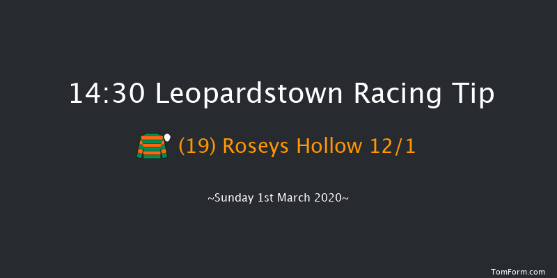 Donohoe Marquees Maiden Hurdle Leopardstown 14:30 Maiden Hurdle 18f Sun 2nd Feb 2020