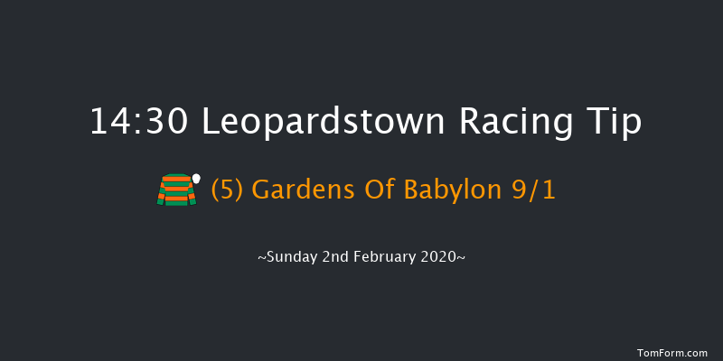 Leopardstown 14:30 Handicap Hurdle 24f Sat 1st Feb 2020