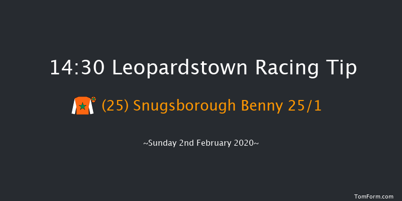 Leopardstown 14:30 Handicap Hurdle 24f Sat 1st Feb 2020