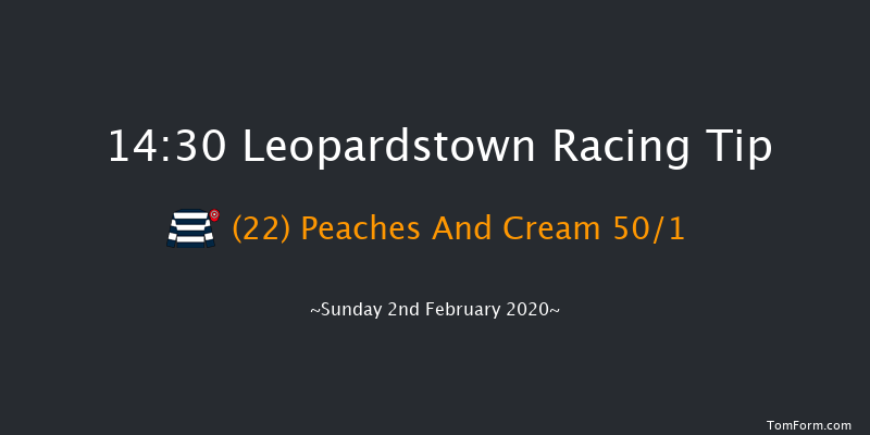 Leopardstown 14:30 Handicap Hurdle 24f Sat 1st Feb 2020