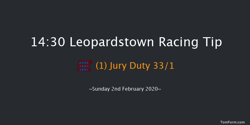 Leopardstown 14:30 Handicap Hurdle 24f Sat 1st Feb 2020